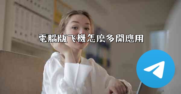 電腦版飞機怎麼多開應用