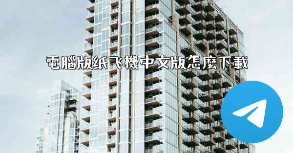 電腦版纸飞機中文版怎麼下載
