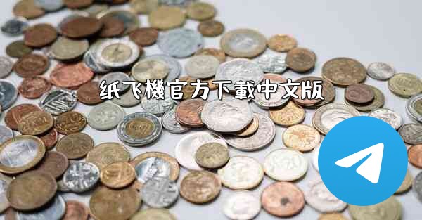 纸飞機官方下載中文版
