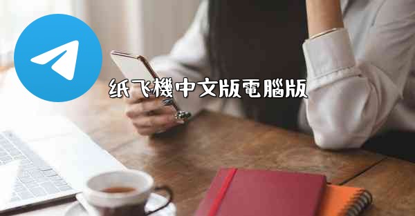 纸飞機中文版電腦版