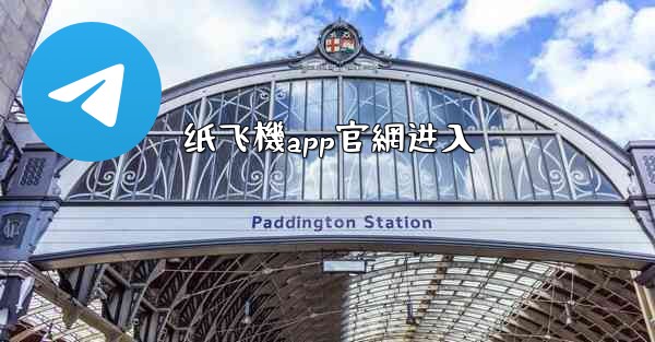 纸飞機app官網进入