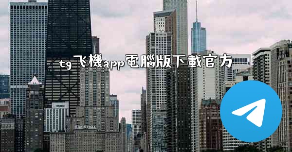 tg飞機app電腦版下載官方