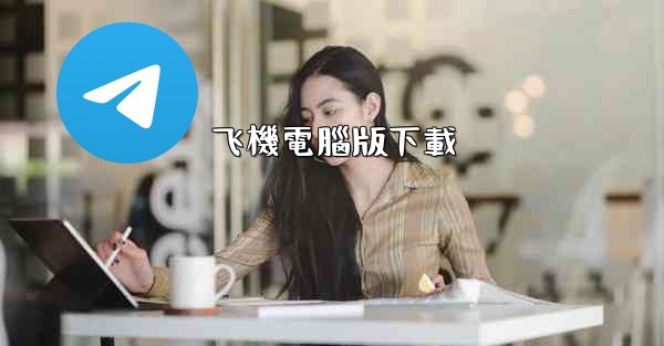 飞機電腦版下載