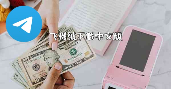 飞機號下載中文版