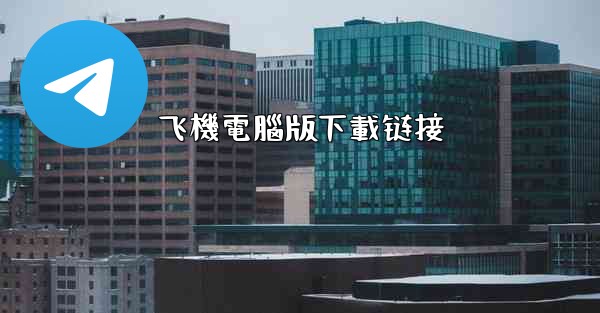 飞機電腦版下載链接