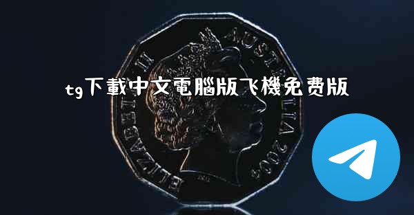tg下載中文電腦版飞機免费版