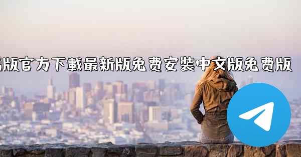 飞機下載電腦版官方下載最新版免费安裝中文版免费版