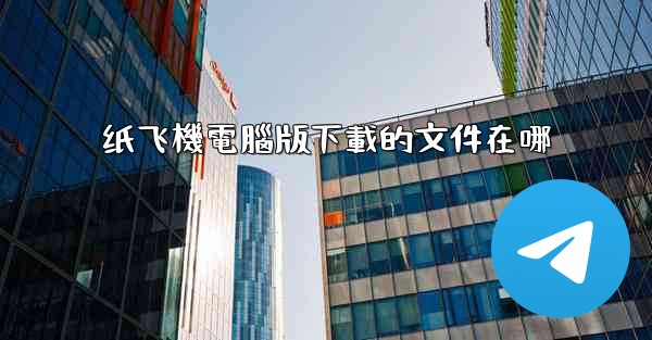 纸飞機電腦版下載的文件在哪