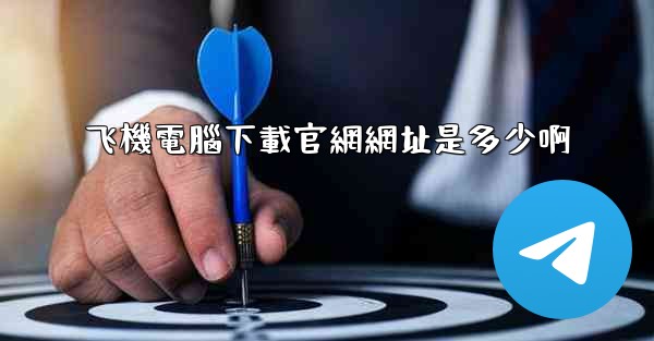 飞機電腦下載官網網址是多少啊