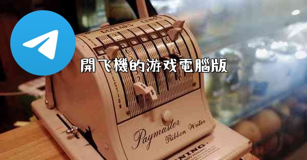 開飞機的游戏電腦版