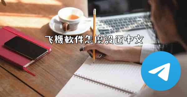 飞機軟件怎麼設置中文