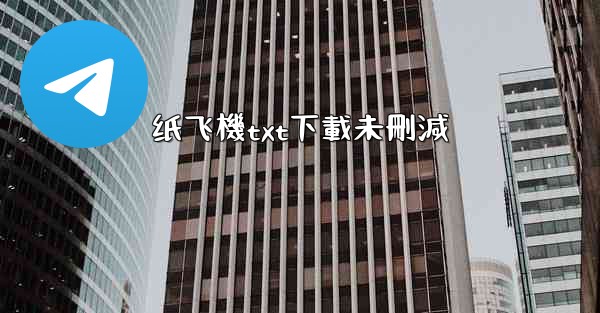 纸飞機txt下載未刪減