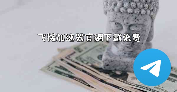 飞機加速器官網下載免费