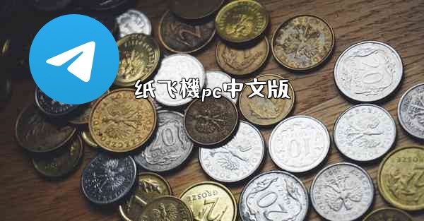 纸飞機pc中文版