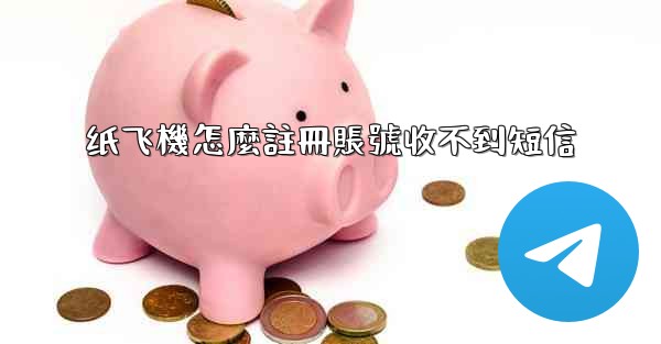 纸飞機怎麼註冊賬號收不到短信