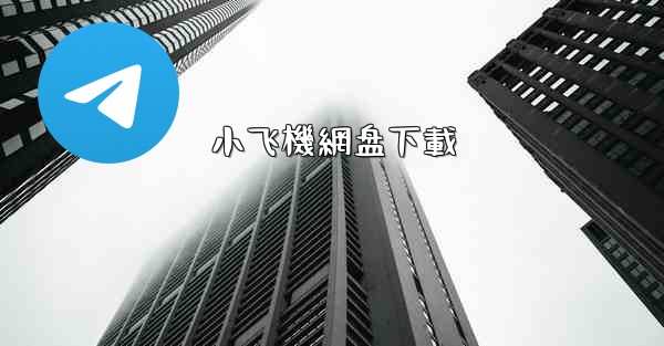 小飞機網盘下載