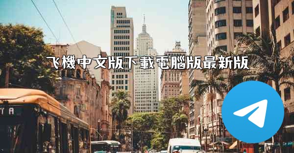 飞機中文版下載電腦版最新版