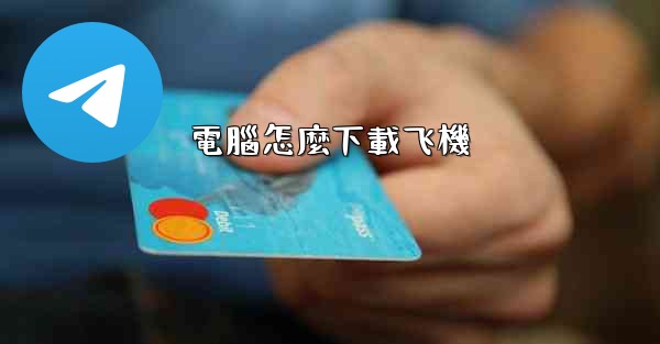 <b>電腦怎麼下載飞機</b>