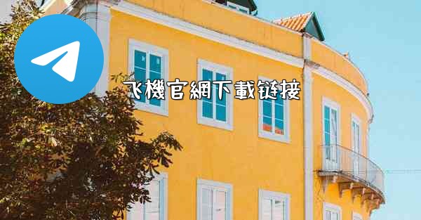 飞機官網下載链接