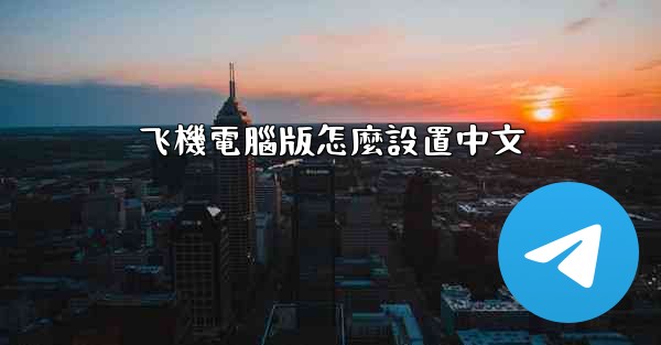 飞機電腦版怎麼設置中文