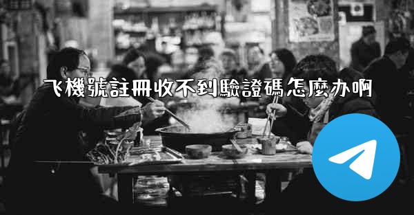 飞機號註冊收不到驗證碼怎麼办啊