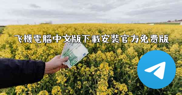 飞機電腦中文版下載安裝官方免费版