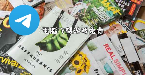 電腦飞機游戏免费