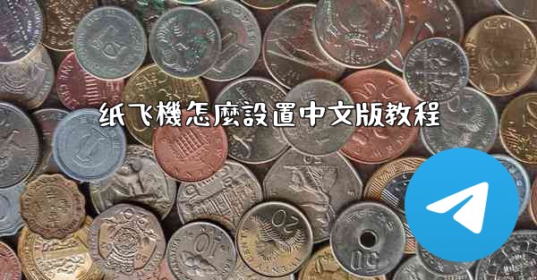 纸飞機怎麼設置中文版教程