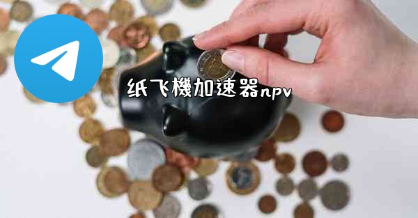 纸飞機加速器npv