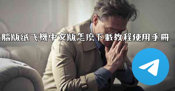 電腦版纸飞機中文版怎麼下載教程使用手冊