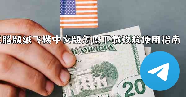電腦版纸飞機中文版怎麼下載教程使用指南