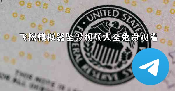 飞機模拟器坠毁视频大全免费观看