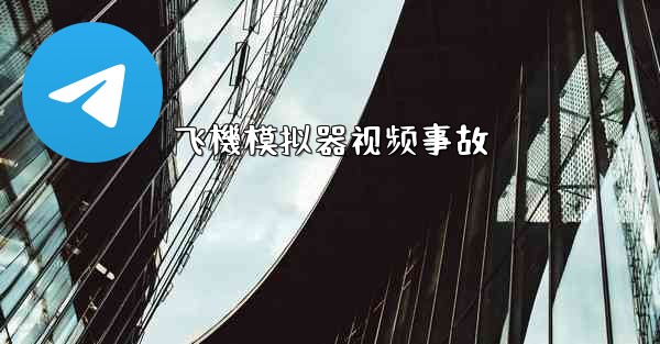 飞機模拟器视频事故
