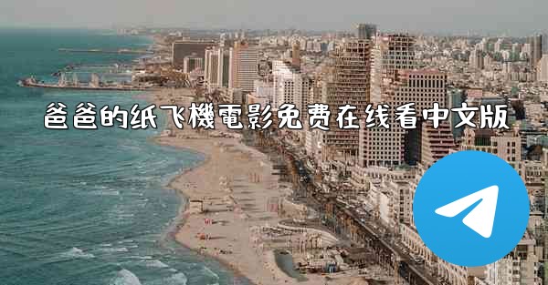 爸爸的纸飞機電影免费在线看中文版