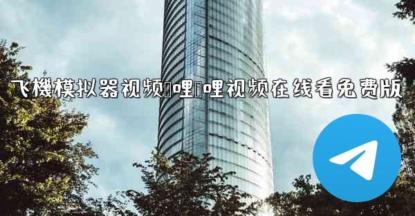 飞機模拟器视频哔哩哔哩视频在线看免费版