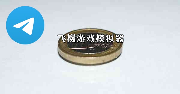 <b>飞機游戏模拟器</b>