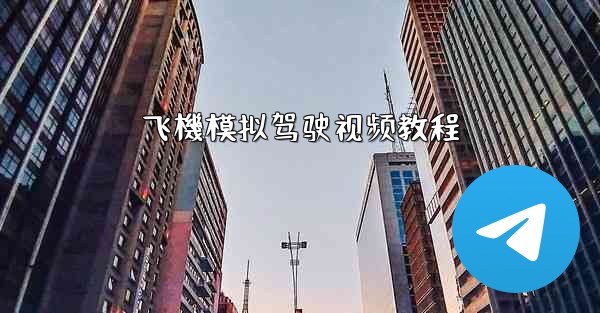 <b>飞機模拟驾驶视频教程</b>