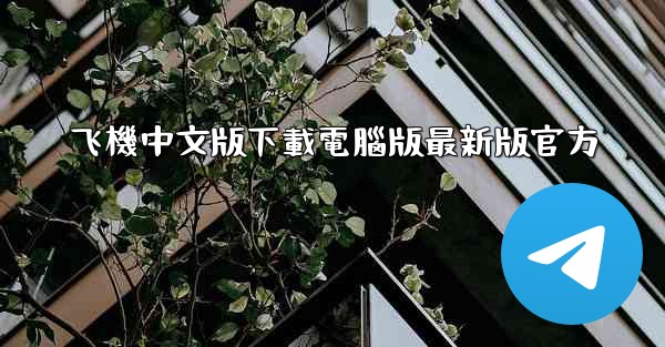 飞機中文版下載電腦版最新版官方
