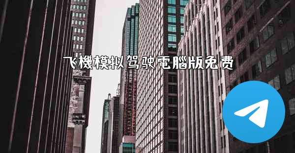 飞機模拟驾驶電腦版免费