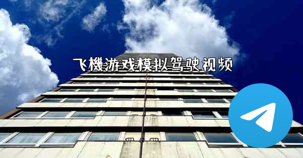 飞機游戏模拟驾驶视频