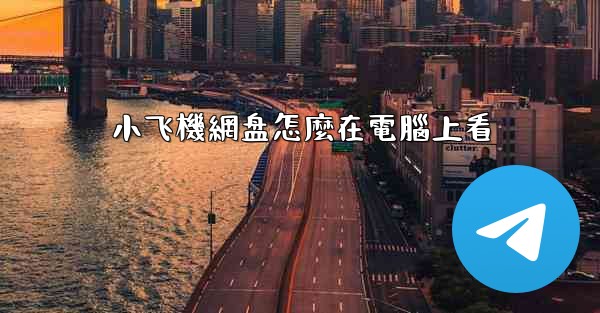 小飞機網盘怎麼在電腦上看