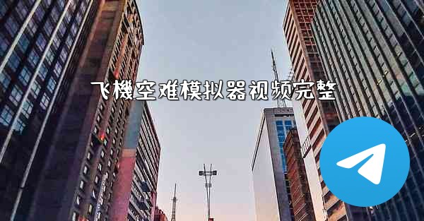 飞機空难模拟器视频完整