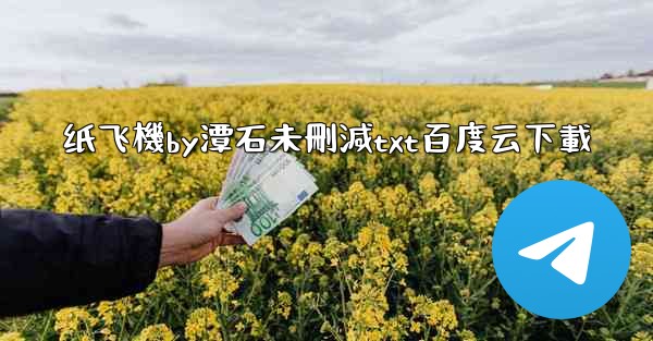 纸飞機by潭石未刪減txt百度云下載