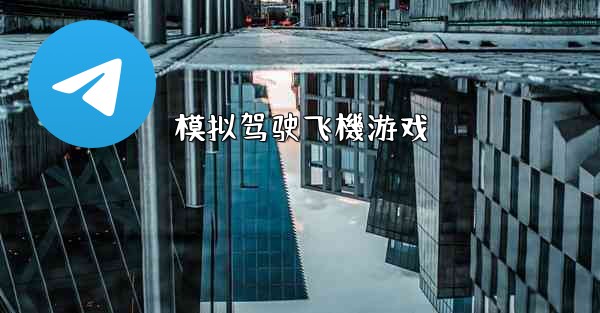 模拟驾驶飞機游戏