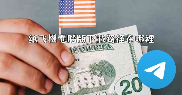 纸飞機電腦版下載路径在哪裡