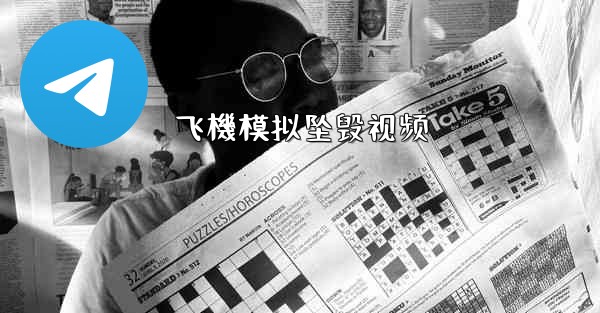 飞機模拟坠毁视频