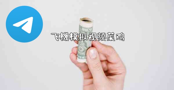 飞機模拟视频菜鸡