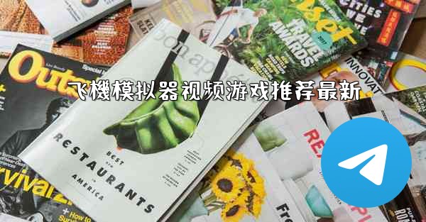 飞機模拟器视频游戏推荐最新