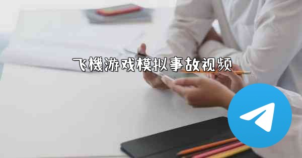 飞機游戏模拟事故视频