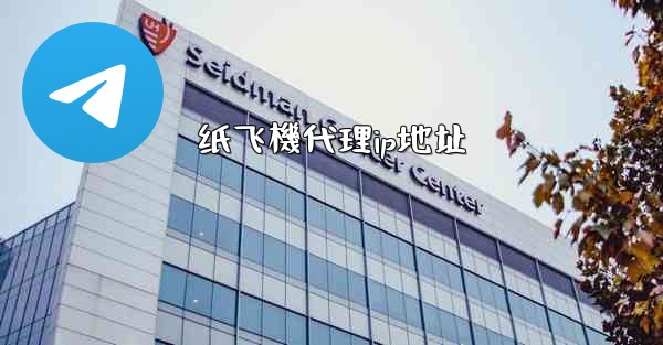 纸飞機代理ip地址